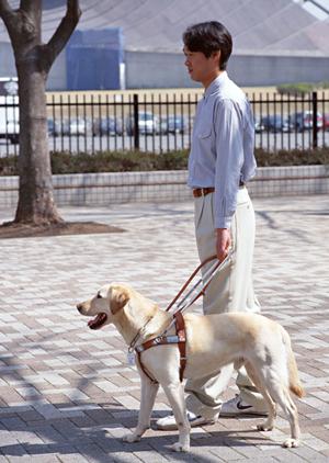 つくば市で確かな審美歯科を受診する