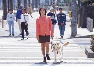 長野県でのインプラント治療についての紹介です