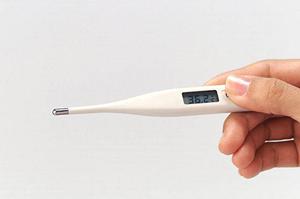 【2026年最新】愛媛の入れ歯に関する対策と選び方完全ガイド